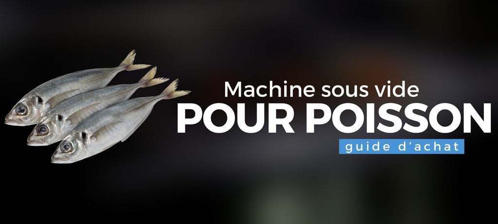 Machine sous vide pour poisson