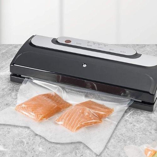 machine sous vide pour saumon
